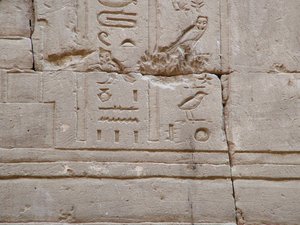 Photo »D05_3446« aus dem Edfu-Projekt.