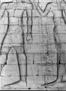 Photo »1040« aus dem Edfu-Projekt.