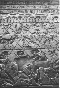 Photo »1287« aus dem Edfu-Projekt.
