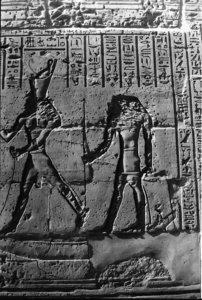 Photo »1349« aus dem Edfu-Projekt.