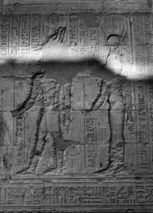 Photo »2211« aus dem Edfu-Projekt.