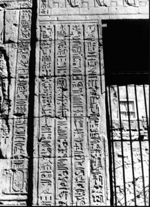 Photo »3273« aus dem Edfu-Projekt.