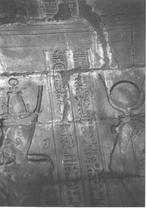 Photo »4035« aus dem Edfu-Projekt.