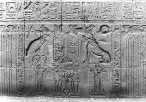 Photo »2004« aus dem Edfu-Projekt.