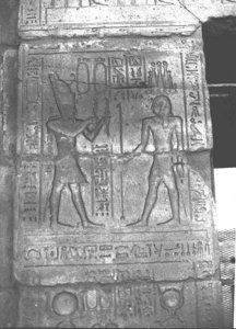 Photo »3172« aus dem Edfu-Projekt.
