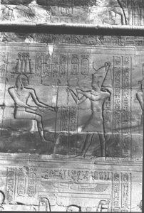 Photo »398« aus dem Edfu-Projekt.