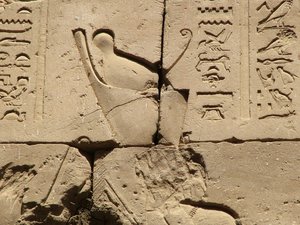 Photo »D05_1273« aus dem Edfu-Projekt.