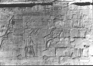 Photo »2698« aus dem Edfu-Projekt.