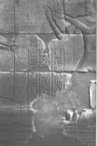 Photo »4105« aus dem Edfu-Projekt.