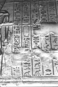 Photo »1315« aus dem Edfu-Projekt.