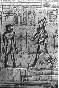Photo »1351« aus dem Edfu-Projekt.