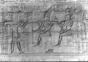 Photo »2657« aus dem Edfu-Projekt.