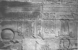 Photo »4101« aus dem Edfu-Projekt.