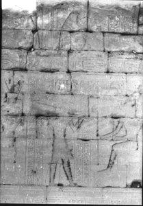 Photo »975« aus dem Edfu-Projekt.