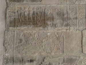 Photo »D05_0209« of the Edfu-Project.