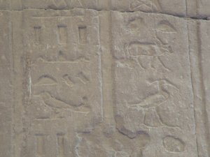 Photo »D05_5085« of the Edfu-Project.