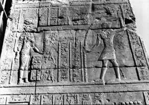 Photo »2717« aus dem Edfu-Projekt.
