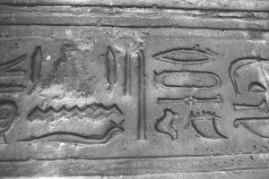 Photo »3857« aus dem Edfu-Projekt.