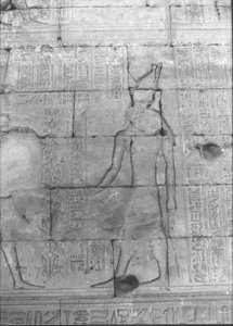 Photo »816« of the Edfu-Project.