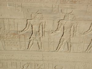 Photo »D03_0869« aus dem Edfu-Projekt.