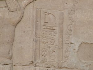 Photo »D05_5497« of the Edfu-Project.