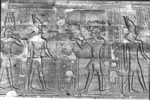 Photo »269« aus dem Edfu-Projekt.