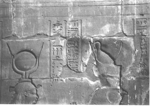 Photo »4046« aus dem Edfu-Projekt.