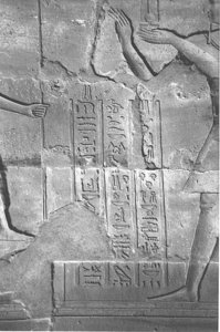 Photo »4084« aus dem Edfu-Projekt.