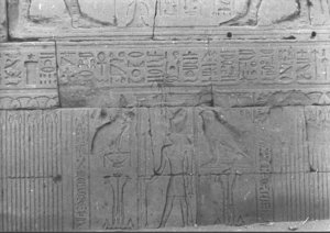 Photo »688« aus dem Edfu-Projekt.