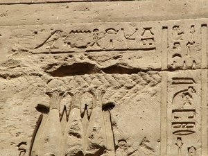 Photo »D05_1432« aus dem Edfu-Projekt.