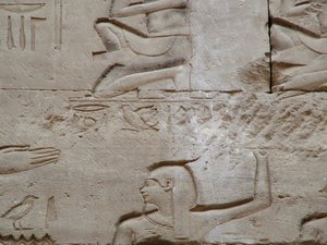 Photo »D05_3466« aus dem Edfu-Projekt.