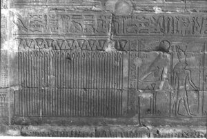 Photo »225« aus dem Edfu-Projekt.