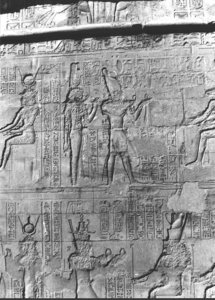 Photo »2687« aus dem Edfu-Projekt.