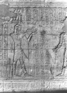 Photo »2811« aus dem Edfu-Projekt.