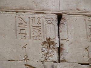 Photo »D05_3489« aus dem Edfu-Projekt.