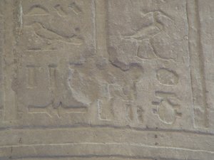 Photo »D05_5086« of the Edfu-Project.