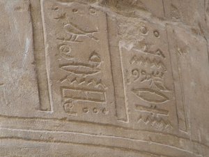 Photo »D05_5731« of the Edfu-Project.