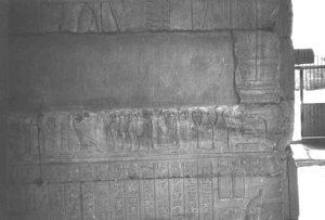 Photo »1711« of the Edfu-Project.
