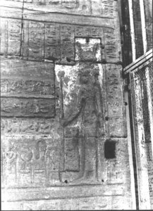 Photo »2725« aus dem Edfu-Projekt.