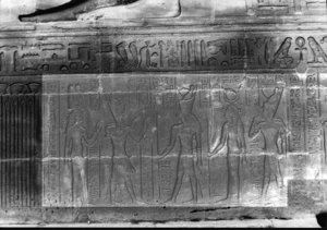 Photo »2823« aus dem Edfu-Projekt.