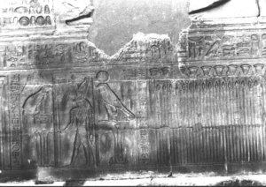 Photo »2831« aus dem Edfu-Projekt.