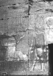 Photo »3133« of the Edfu-Project.