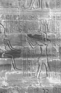 Photo »4211« aus dem Edfu-Projekt.