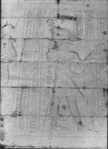 Photo »902« of the Edfu-Project.