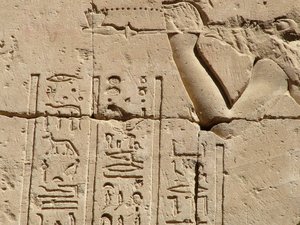 Photo »D05_1646« aus dem Edfu-Projekt.
