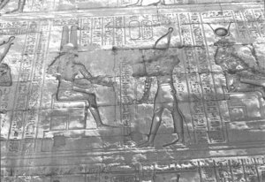 Photo »1540« aus dem Edfu-Projekt.