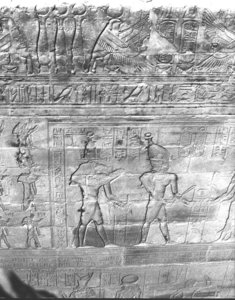 Photo »3052« aus dem Edfu-Projekt.