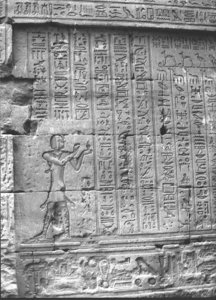 Photo »3597« aus dem Edfu-Projekt.