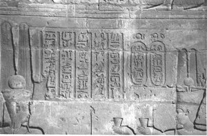 Photo »4210« aus dem Edfu-Projekt.