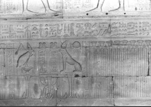 Photo »647« of the Edfu-Project.